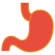 Stomach